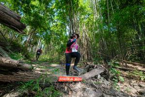 BIB: 
                            <button type="button" onclick="openModal(19391180)" class="btn btn-primary btn-sm float-right btn-popup" data-toggle="modal" data-target=".modal-high-quality">
                        <i class="fas fa-shopping-cart"></i> Add to Cart
                    </button>
                                            <button type="button" onclick="isThisMe(19391180, true)" class="btn btn-success btn-sm float-right btn-popup btn-isme hidden" data-toggle="tooltip" data-placement="bottom" title="นี่คือรูปของคุณใช่ไหม คลิกที่นี่เพื่อเอาเข้าอัลบั้ม">
                        <i class="fas fa-plus"></i> Add to album
                    </button>
                    <button type="button" onclick="isThisMe(19391180, false)" class="btn btn-warning btn-sm float-right btn-popup btn-isnotme hidden">
                        <i class="fas fa-ban"></i> Remove from album
                    </button>